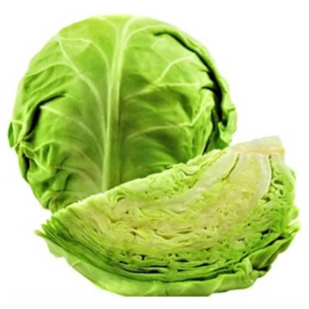 Cabbage - முட்டைக்கோஸ்